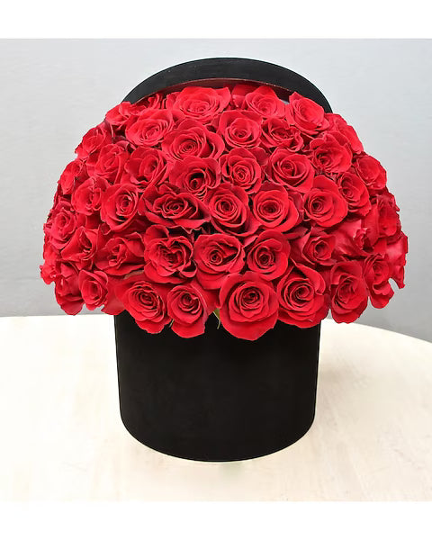 Black box filled with red roses on a light background