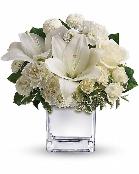 Delicate white flowers in clear vase on plain white background